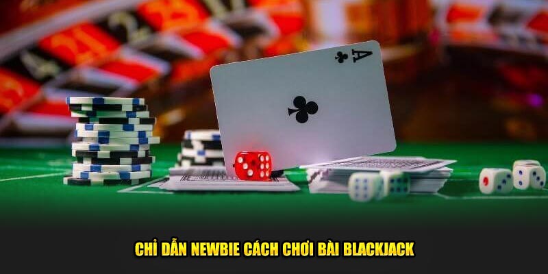 Chỉ dẫn newbie cách chơi bài blackjack
