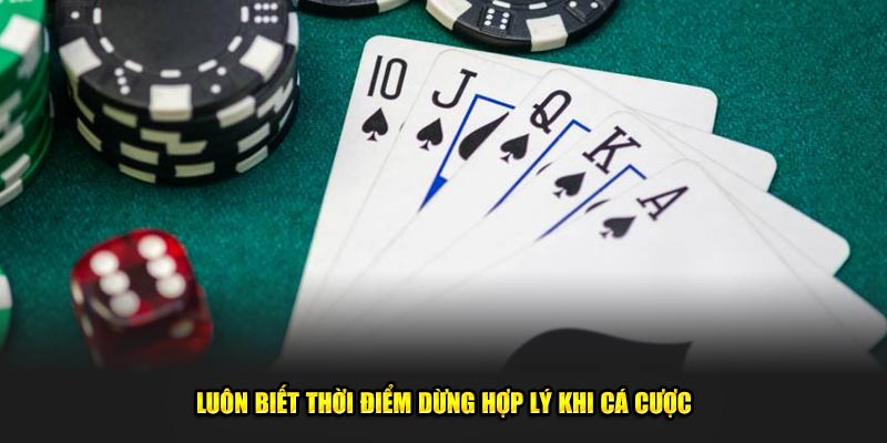 Luôn biết thời điểm dừng hợp lý khi cá cược